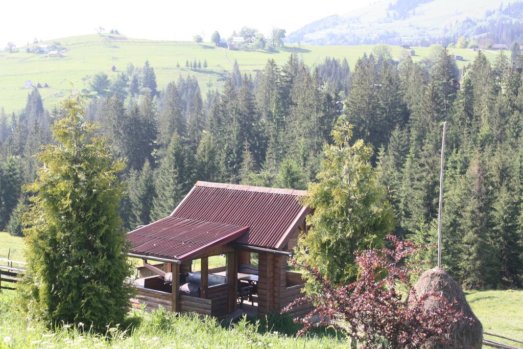 Polonyna Villa Verkhovijna Eksteriør bilde