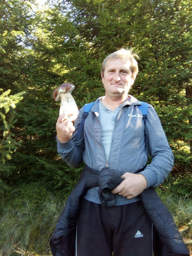 Polonyna Villa Verkhovijna Eksteriør bilde